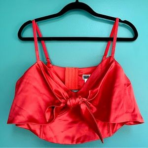 NWT Satin Bustier Crop Top